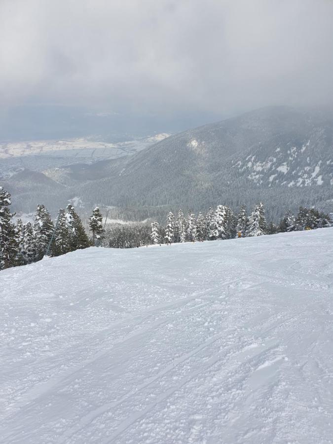 Spacious And Cosy Apartment In Bansko Royal Towers Complex 外观 照片