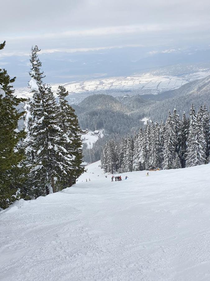 Spacious And Cosy Apartment In Bansko Royal Towers Complex 外观 照片